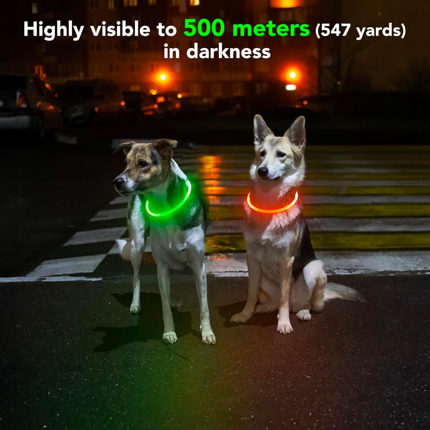 Light up Dog Collars - Rechargeable LED Dog Collar, Waterproof Glow in the Dark Puppy Collar, Lighted Dog Collar Lights for Night Walking (Green)