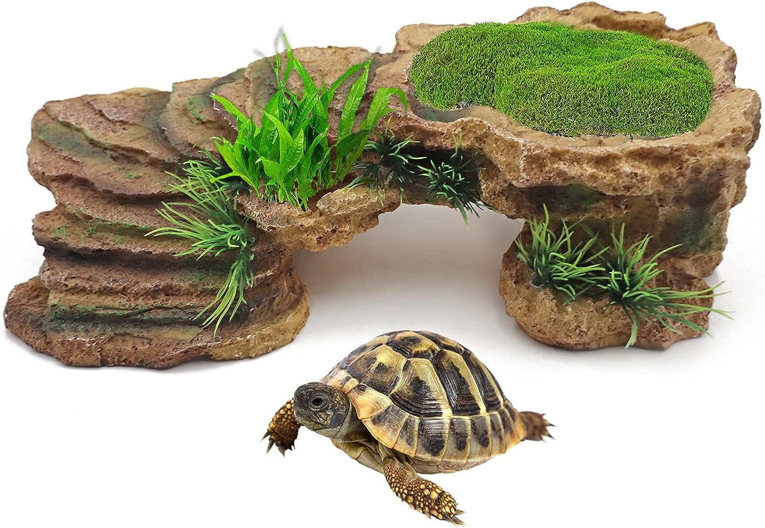 Turtle Basking Platform Reptile Terrarium Hideout Tortoise Resin Rock Hide Cave Habitat Ornament for Bearded Dragon Frogs Lizards Spiders Fish Amphibians Aquarium