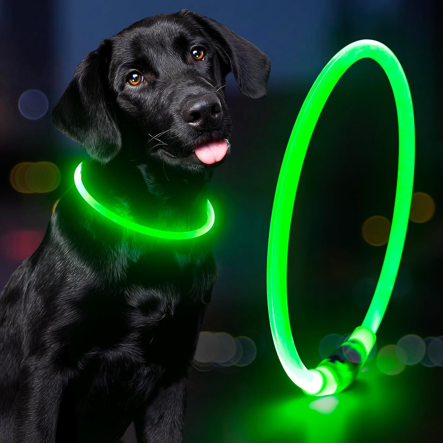 Light up Dog Collars - Rechargeable LED Dog Collar, Waterproof Glow in the Dark Puppy Collar, Lighted Dog Collar Lights for Night Walking (Green)