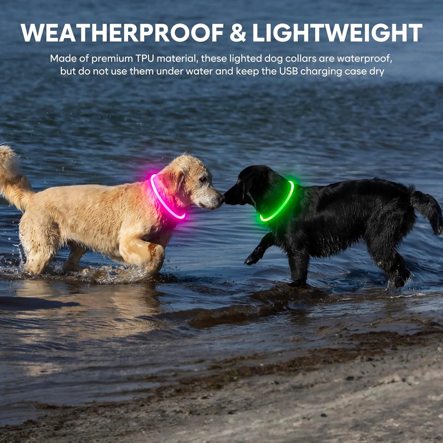 Light up Dog Collars - Rechargeable LED Dog Collar, Waterproof Glow in the Dark Puppy Collar, Lighted Dog Collar Lights for Night Walking (Green)